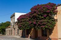 © Copyright - Raphael Kessler 2014 - Uruguay - Colonia