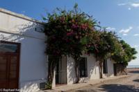 © Copyright - Raphael Kessler 2014 - Uruguay - Colonia