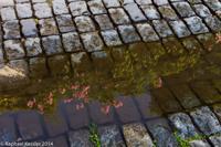 © Copyright - Raphael Kessler 2014 - Uruguay - Colonia