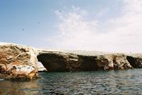 © Copyright Raphael Kessler - New Zealand - Birdy