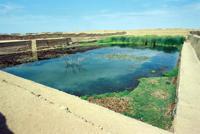 © Copyright - Raphael Kessler 2011 - Peru - Chan Chan - Stagnant pool