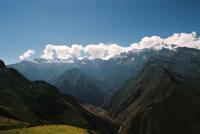 © Copyright - Raphael Kessler 2011 - Peru - Choquekirao - Insect