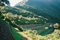 © Copyright Raphael Kessler - Peru - Choquekirao Terraces
