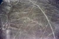 © Copyright - Raphael Kessler 2011 - Peru - Nazca and Palpa lines - Condor