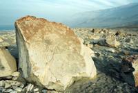 © Copyright - Raphael Kessler 2011 - Peru - Toro Muerto Petroglyphs - Dracula