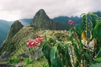 © Copyright - Raphael Kessler 2011 - Peru - Macchu Picchu and flowers