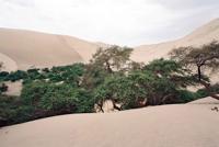 © Copyright - Raphael Kessler 2011 - Peru - Huacachina - Sand dunes