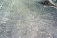 © Copyright - Raphael Kessler 2011 - Peru - Nazca and Palpa lines - Hummingbird