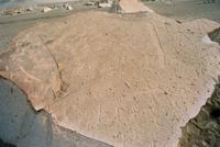 © Copyright - Raphael Kessler 2011 - Peru - Toro Muerto Petroglyphs - Rock carvings