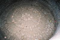 © Copyright - Raphael Kessler 2011 - Peru - Lima - San Francisco - Bones