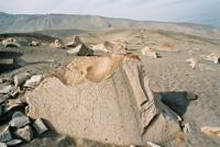 © Copyright - Raphael Kessler 2011 - Peru - Toro Muerto Petroglyphs - Spaceman