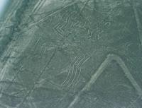 © Copyright - Raphael Kessler 2011 - Peru - Nazca and Palpa lines - Spider
