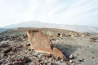 © Copyright Raphael Kessler - Peru - Ziggy