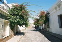 © Copyright Raphael Kessler 2011 - Uruguay - Colonia - Pretty street