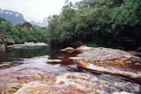 © Copyright - Raphael Kessler 2011 - Venezuela - Canaima - Cola water rapids