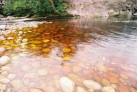 © Copyright - Raphael Kessler 2011 - Venezuela - Canaima - Cola water rocks