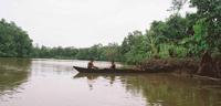 © Copyright - Raphael Kessler 2011 - Venezuela - Orinoco Delta - Warao tribes people - Canoers