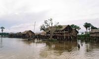 © Copyright - Raphael Kessler 2011 - Venezuela - Orinoco Delta - Warao tribes people - Houses