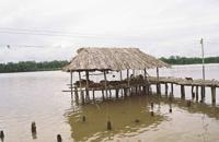 © Copyright - Raphael Kessler 2011 - Venezuela - Orinoco Delta - Warao tribes people - Houses