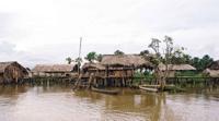 © Copyright - Raphael Kessler 2011 - Venezuela - Orinoco Delta - Warao tribes people - Houses