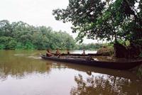 © Copyright - Raphael Kessler 2011 - Venezuela - Orinoco Delta - Warao tribes people - Two canoes