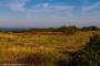 © Copyright - Raphael Kessler 2015 - England - Dunwich Heath & Beach view