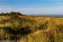 © Copyright - Raphael Kessler 2015 - England - Dunwich Heath & Beach grass and heather