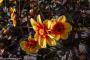 © Copyright - Raphael Kessler 2014 - England - The Eden Project yellow