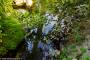 © Copyright - Raphael Kessler 2014 - England - The Eden Project reflections