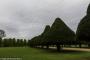 © Copyright - Raphael Kessler 2015 - England - Hampton Court Palace gardens trees