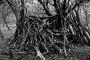 (c) Copyright - Raphael Kessler 2012 - England - Chilterns - Bivouak