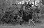 (c) Copyright - Raphael Kessler 2012 - England - Chilterns - Photos at the tree root - Spot four people