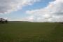 (c) Copyright - Raphael Kessler 2012 - England - Chilterns - Field