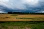 (c) Copyright - Raphael Kessler 2012 - England - Therfield - Field circles