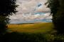 (c) Copyright - Raphael Kessler 2012 - England - Therfield - View