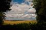 (c) Copyright - Raphael Kessler 2012 - England - Therfield - View