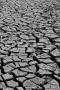 (c) Copyright - Raphael Kessler 2012 - England - Hertford - Cracked mud 