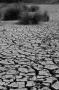 (c) Copyright - Raphael Kessler 2012 - England - Hertford - Cracked mud 