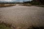(c) Copyright - Raphael Kessler 2012 - England - Hertford - Cracked mud 