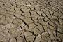 (c) Copyright - Raphael Kessler 2012 - England - Hertford - Cracked mud 