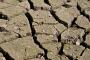 (c) Copyright - Raphael Kessler 2012 - England - Hertford - Cracked mud 