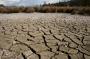 (c) Copyright - Raphael Kessler 2012 - England - Hertford - Cracked mud 