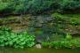 (c) Copyright - Raphael Kessler 2013 - England - Hever Castle - 