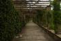 (c) Copyright - Raphael Kessler 2013 - England - Hever Castle - Italian Garden 