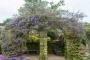 (c) Copyright - Raphael Kessler 2013 - England - Hever Castle - Italian Garden 
