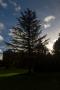 © Copyright - Raphael Kessler 2013 - England - Hughenden