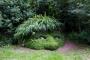 © Copyright - Raphael Kessler 2014 - England - Heligan Giant's Head