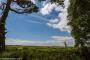 © Copyright - Raphael Kessler 2014 - England - Heligan fields