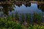 (c) Copyright - Raphael Kessler 2013 - England - Scotney - Lake