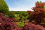 (c) Copyright - Raphael Kessler 2013 - England - Scotney - View down to the castle